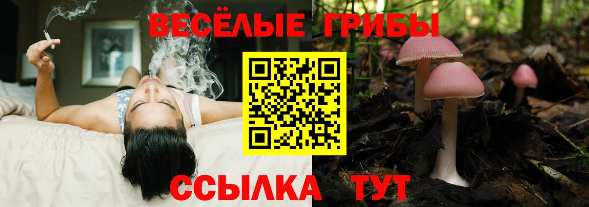 Галлюциногенные грибы Cubensis  Вход с VPN  Кострома 
